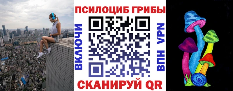 Купить  Яровое  Псилоцибиновые грибы Magic Shrooms 